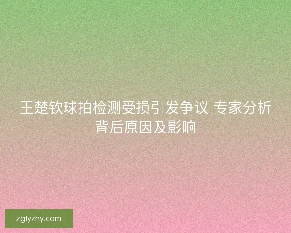 王楚钦球拍检测受损引发争议 专家分析背后原因及影响
